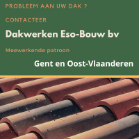 reclame advertentie dakwerken eso-bouw bv, groen witte letters