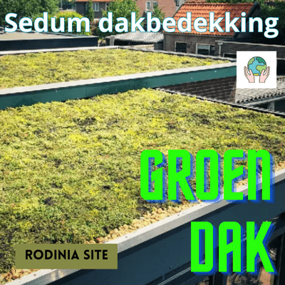 Groen dak plat