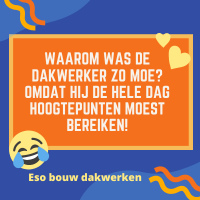 Grapje dakwerker